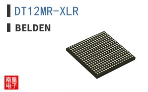 DT12MR-XLR ͼƬ