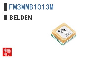 FM3MMB1013M ͼƬ