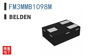 FM3MMB1098M ͼƬ