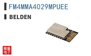 FM4MMA4029MPUEE ͼƬ
