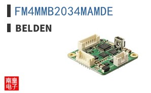FM4MMB2034MAMDE ͼƬ