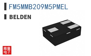 FM5MMB209M5PMEL ͼƬ