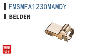 FMSMFA1230MAMDY ͼƬ