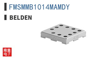 FMSMMB1014MAMDY ͼƬ
