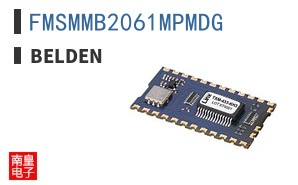 FMSMMB2061MPMDG ͼƬ