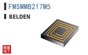 FMSMMB217M5 ͼƬ