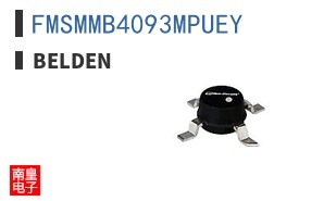 FMSMMB4093MPUEY ͼƬ
