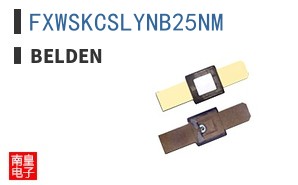 FXWSKCSLYNB25NM ͼƬ