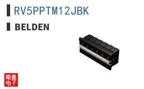 RV5PPTM12JBK ͼƬ