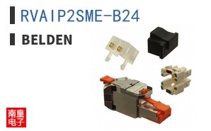 RVAIP2SME-B24 ͼƬ