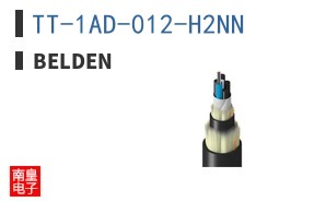 TT-1AD-012-H2NN ͼƬ