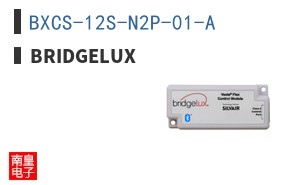 BXCS-12S-N2P-01-A ͼƬ