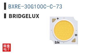 BXRE-30G100C-C-73 ͼƬ