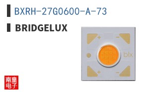 BXRH-27G0600-A-73 ͼƬ