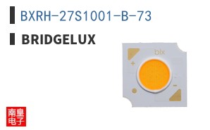 BXRH-27S1001-B-73 ͼƬ