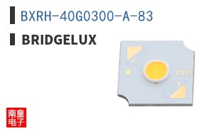 BXRH-40G0300-A-83 ͼƬ