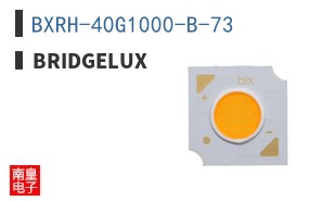 BXRH-40G1000-B-73 ͼƬ