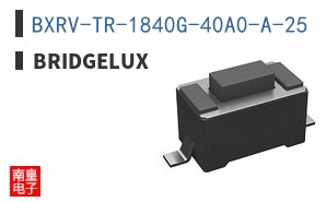 BXRV-TR-1840G-40A0-A-25 ͼƬ