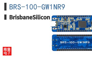 BRS-100-GW1NR9 ͼƬ