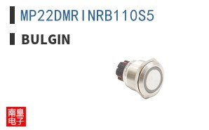 MP22DMRINRB110S5 ͼƬ