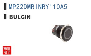 MP22DMRINRY110A5 ͼƬ