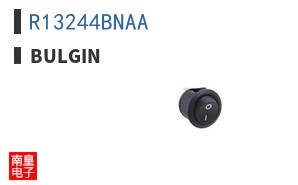 R13244BNAA ͼƬ