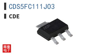 CDS5FC111JO3 ͼƬ