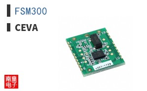 FSM300 ͼƬ