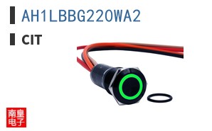 AH1LBBG220WA2 ͼƬ