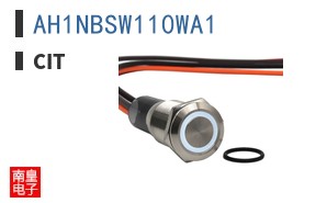 AH1NBSW110WA1 ͼƬ