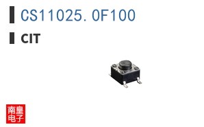 CS11025.0F100 ͼƬ
