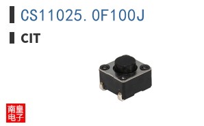CS11025.0F100J ͼƬ