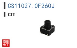 CS11027.0F260J ͼƬ