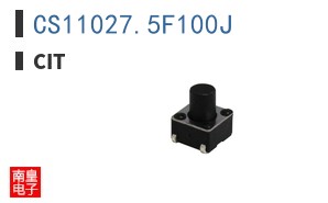 CS11027.5F100J ͼƬ