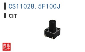 CS11028.5F100J ͼƬ