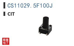 CS11029.5F100J ͼƬ
