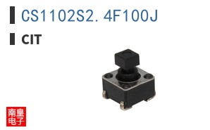 CS1102S2.4F100J ͼƬ