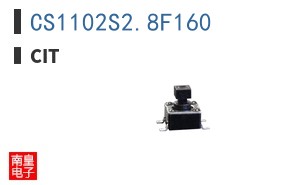CS1102S2.8F160 ͼƬ