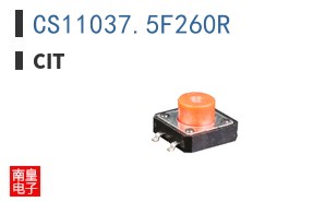 CS11037.5F260R ͼƬ