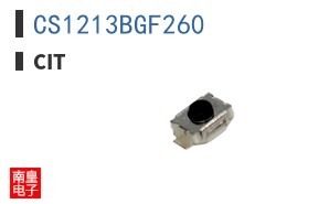 CS1213BGF260 ͼƬ