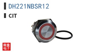 DH221NBSR12 ͼƬ