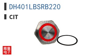 DH401LBSRB220 ͼƬ