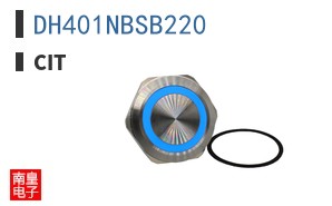 DH401NBSB220 ͼƬ