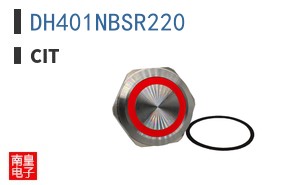 DH401NBSR220 ͼƬ