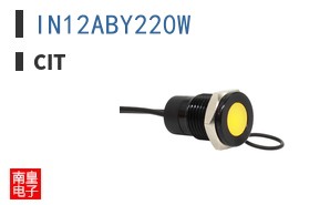 IN12ABY220W ͼƬ