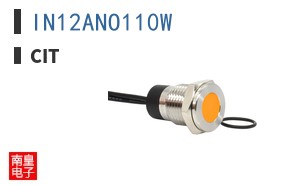 IN12ANO110W ͼƬ