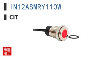 IN12ASMRY110W ͼƬ