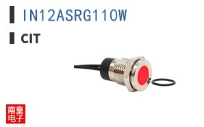 IN12ASRG110W ͼƬ