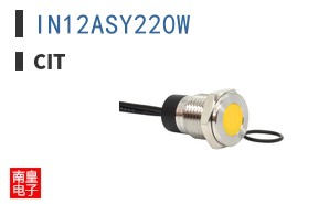 IN12ASY220W ͼƬ