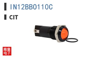 IN12BBO110C ͼƬ